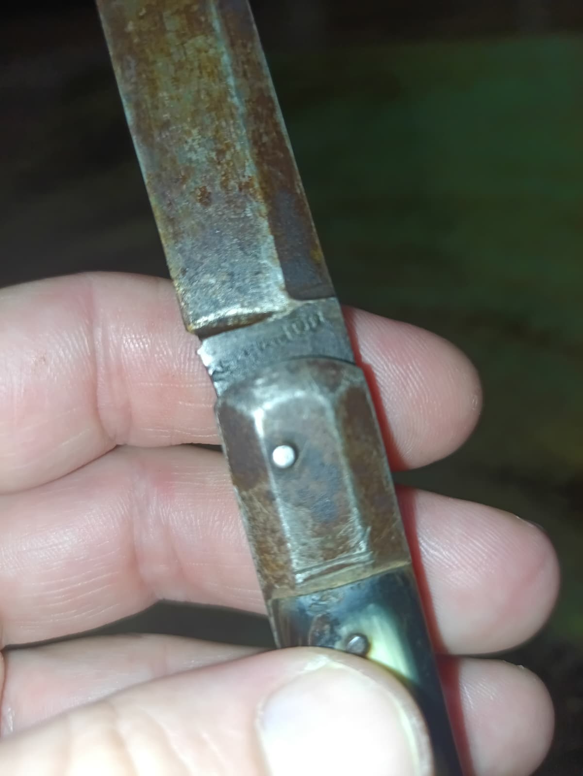 Coltello Sfilato Molise originale d'epoca 25 cm