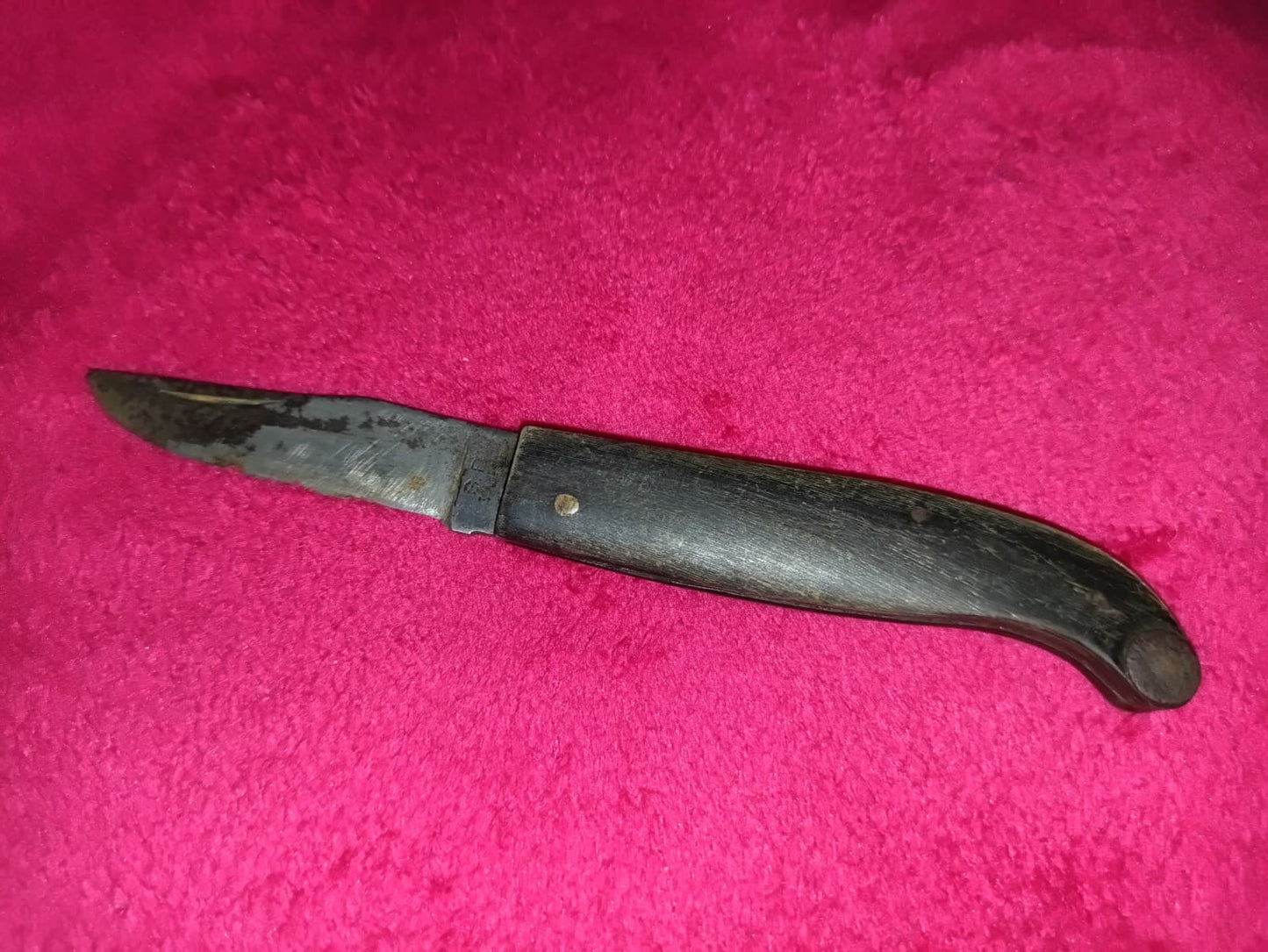 Coltello da caccia manico in osso anni '50 - Zuava di Scarperia S. B.
