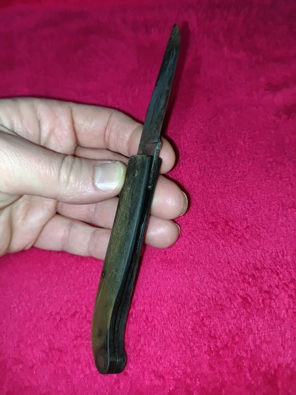Coltello da caccia manico in osso anni '50 - Zuava di Scarperia S. B.
