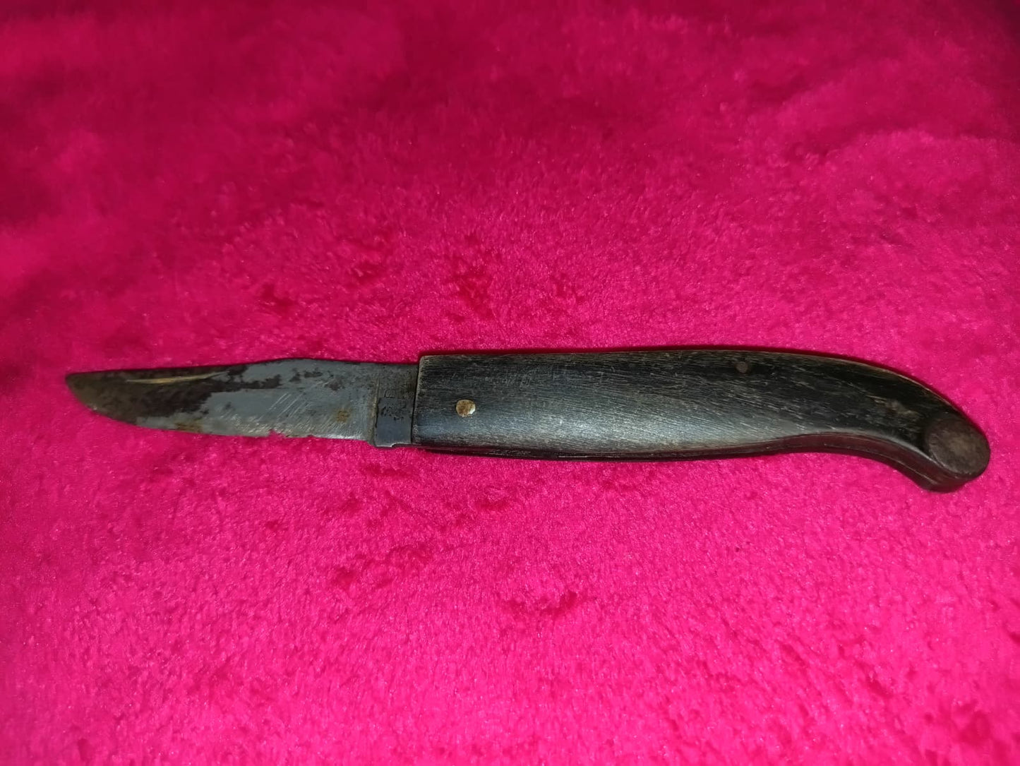 Coltello da caccia manico in osso anni '50 - Zuava di Scarperia S. B.