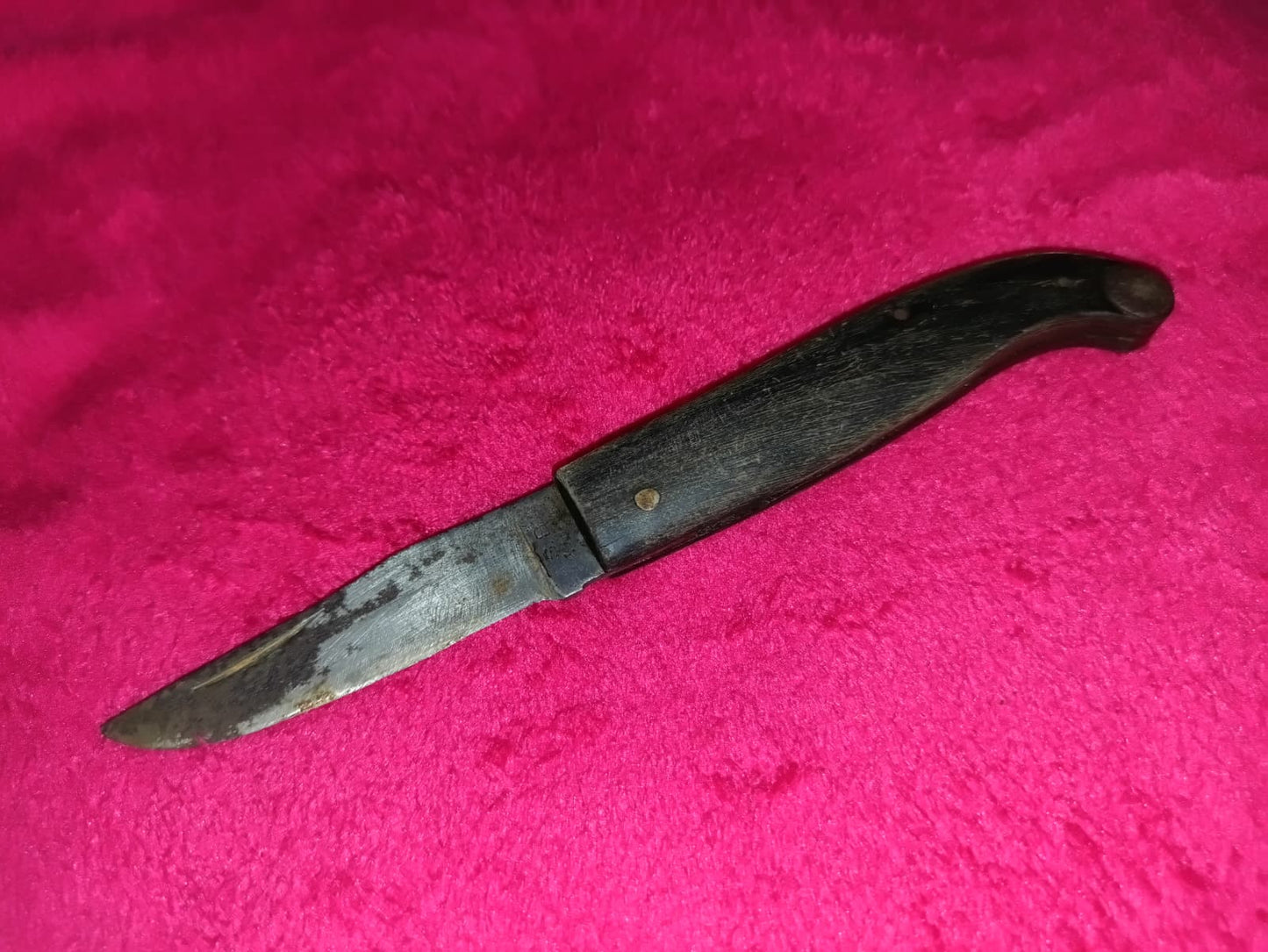 Coltello da caccia manico in osso anni '50 - Zuava di Scarperia S. B.